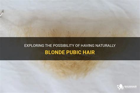 blonde hair pussies|Exploring The Possibility Of Having Naturally Blonde Pubic Hair.